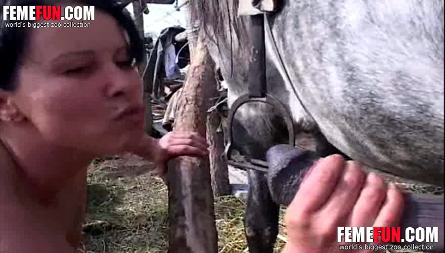 880px x 500px - Horse slut amazing sex with the stallion in insane amateur ...