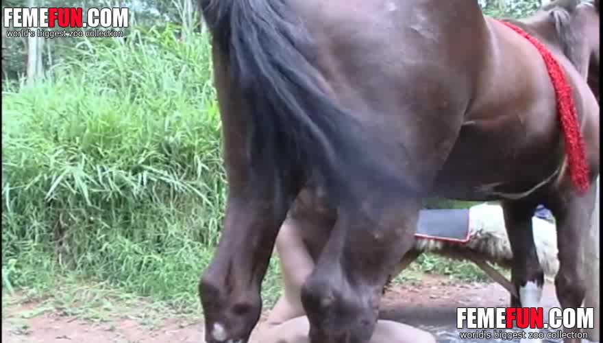 Horse cock teen White Girlfriend