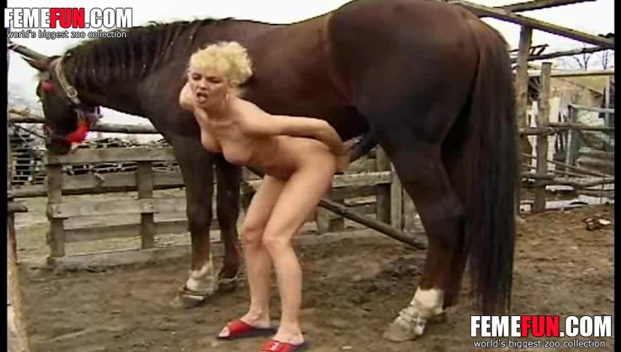 Girl With Horse Dick