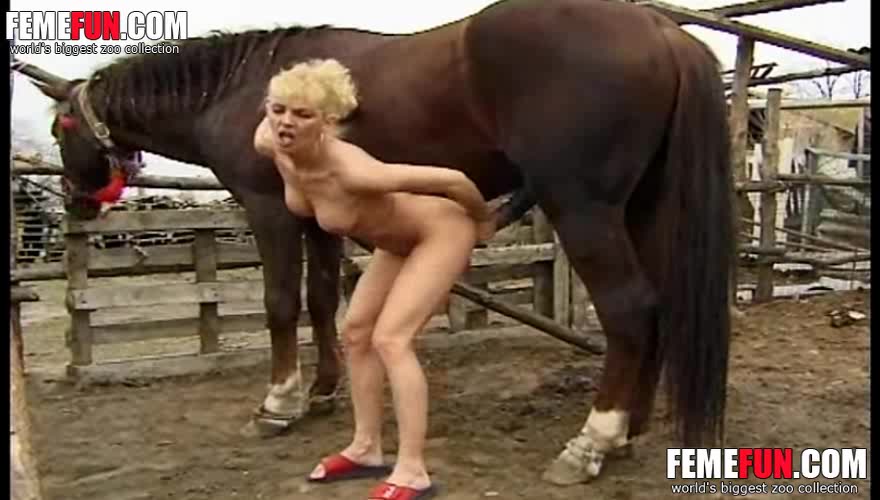 Woman Sucking Animal Penis - Perfect scenes with a woman sucking horse dick like a real ...