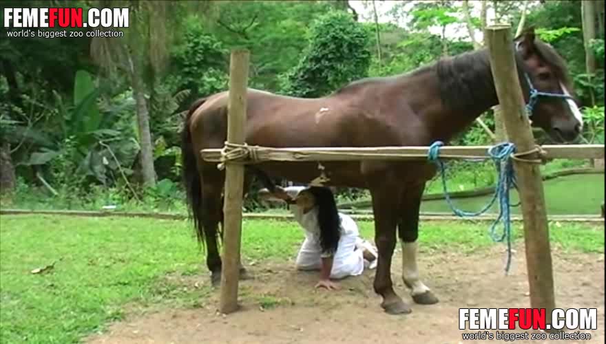 Horse Sex Porn Fuck