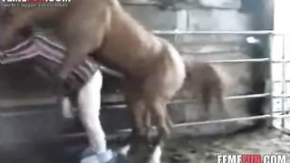 Horse XXX Extreme Sex Videos, Page 3