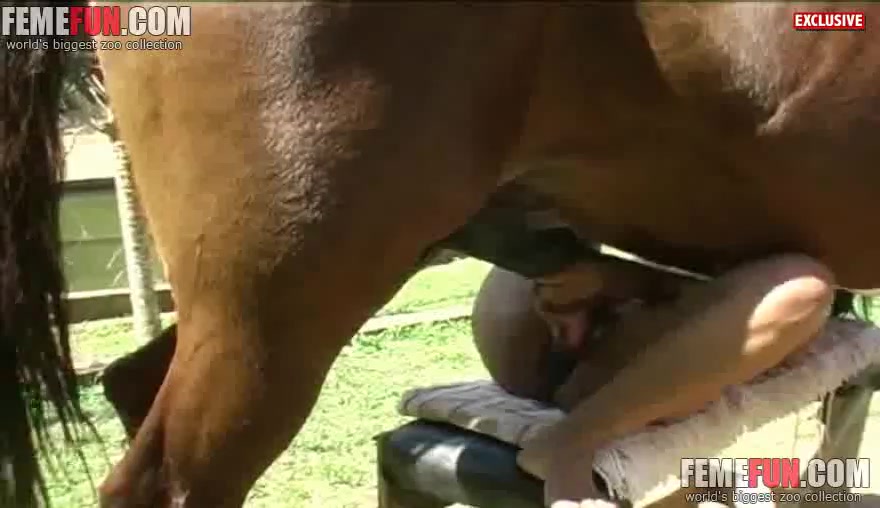 Femefu Com - Married woman provides amazing horse handjob in her first zoo cam ...