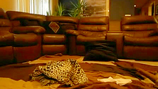 Deep BBC pounding and thick facial for blindfolded hawt slutty wife