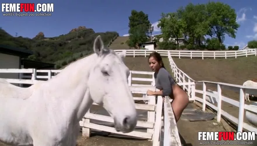 880px x 500px - Slutty girl showed us some of the horses at her farm parents ...