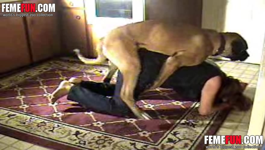 Dog And Girl Sex] Video of full bestiality with dog and woman of ...