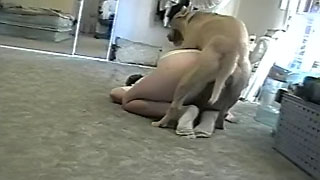 320px x 180px - Mom fucks dog in naughty zoo cam play while home alone and horny - XXX  FemeFun