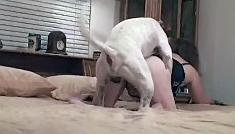 Mom Fucks Dog XXX ] Slender black haired mother wants her dog to ...