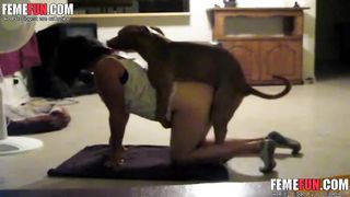 Girl Handjob Her Dog Porn - Mind blowing zoophilia with a woman giving a horse a handy - XXX ...