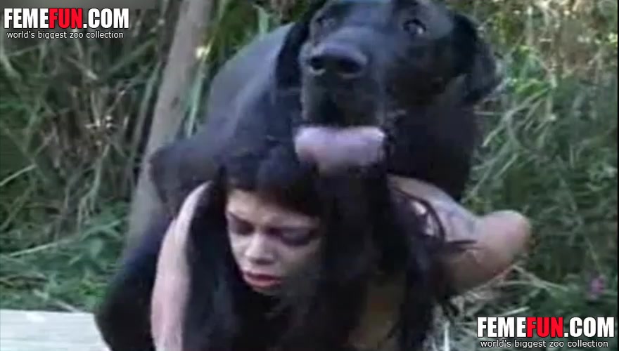 Woman Has Sex With Chimp - Dog sex xxx] Enormous black dog screwing an all natural ...