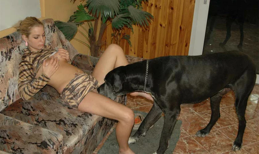 Nude Girl With Animal - Young girl doing beastiality videos - XXX FemeFun