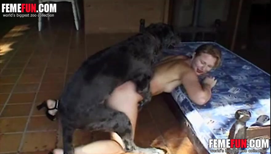 Amateur zoo sex movie  Featuring a dog sliding in-and-out of a spread eagle