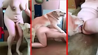 Animal fuck video