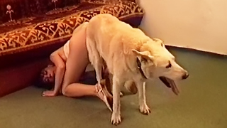 Dogladkibf - Watch a horny dog fuck mom XXX while she enjoys that animalistic ...