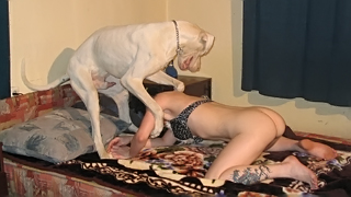 X Vip Dog - Real zoofilia porn ] With dog fucking mom as she enjoys animal ...