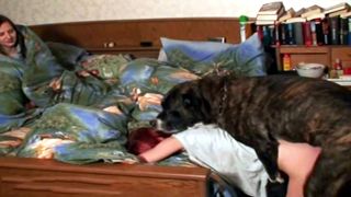 Animal Ladies Sex - Animal sex with women - Hot girls prepare an orgy with dogs - XXX ...