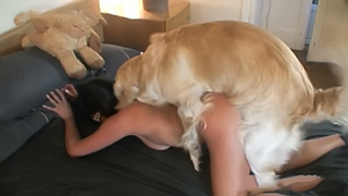 Animal Facking - Watch a [ dog fuck mom ] as she moans and screams with that animal ...