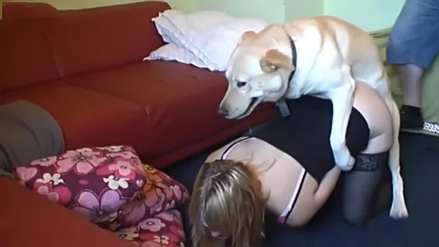 Blonde dog sex Blonde dog sex