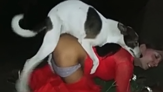 Dog and indian whore enjoy bestiality sex - XXX FemeFun