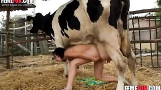 Bovine girl big tits Perverted Teen Fists A Cow S Ass And Milks A Cow With Her Filthy Mouth In A Zoo Porn Video Xxx Femefun