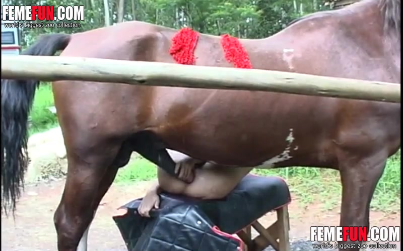 Horse anal cum