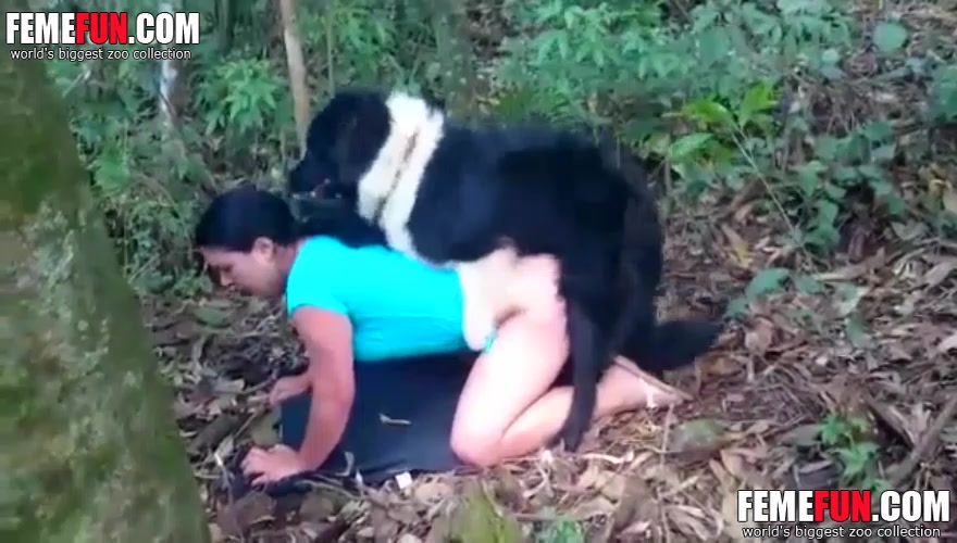 Dog happy to fuck this brunette bitch in the forest - XXX FemeFun