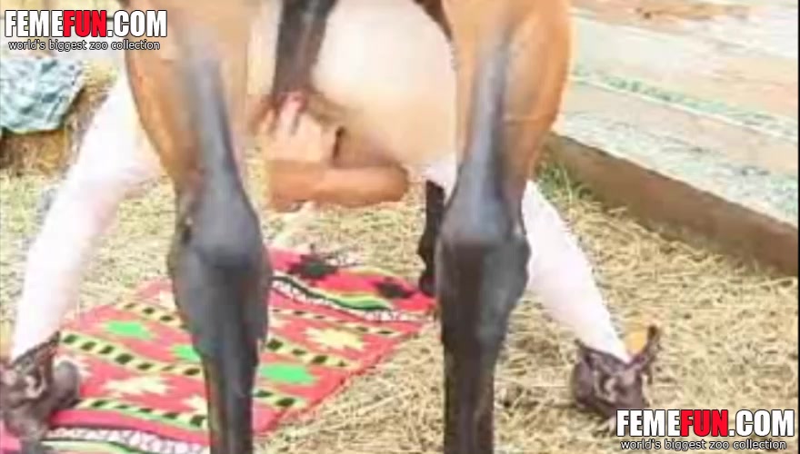 Porn video for tag : Horse mounts an fucks woman long an hard - Most Discussed - Page 59