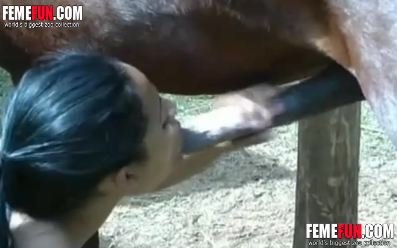Horse Sex Videos
