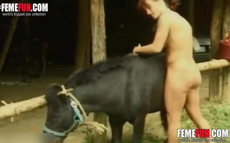 Woman with red hair and a good body pets a black pony and deepthroats its dick in a zoo porn