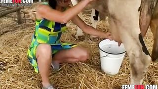 Cow Fuck Woman - Slut milks a cow and sprays the cow's milk on her big tits and ...