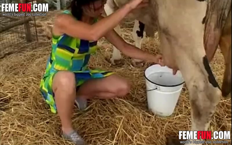 Man eat cow pussy Wild Tattooed Bitch Milks A Cow And Rubs Her Pussy Against The Cow S Tits In A Zoo Porn Scene Xxx Femefun