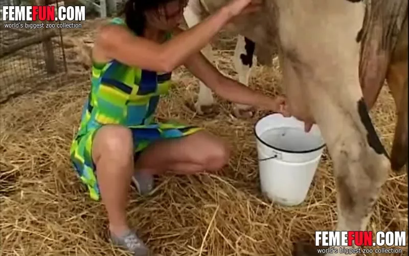 Wild tattooed bitch milks a cow and rubs her pussy against the cow's t...