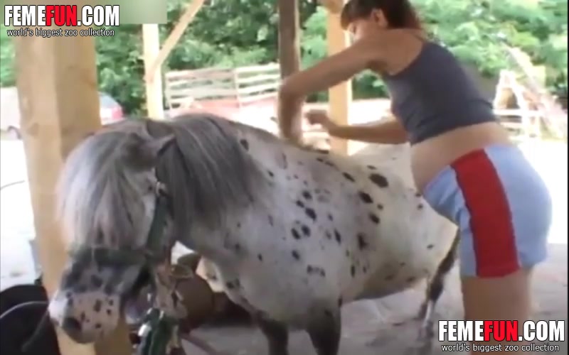 Impregnated By Horse Porn - Pregnant bitch gets naked to go for a pony's cock and sucks it nastily in a  beastiality vid - XXX FemeFun