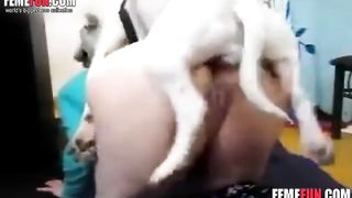 Animal Chut - Tall skinny slut has amazing sex with her white dog in an animal ...