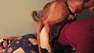 Bf Xxx Animal - Dog fuck woman Extreme Sex Videos