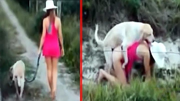 Girls with dogs sex in Shenyeng