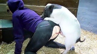 Pig Extreme Sex Videos