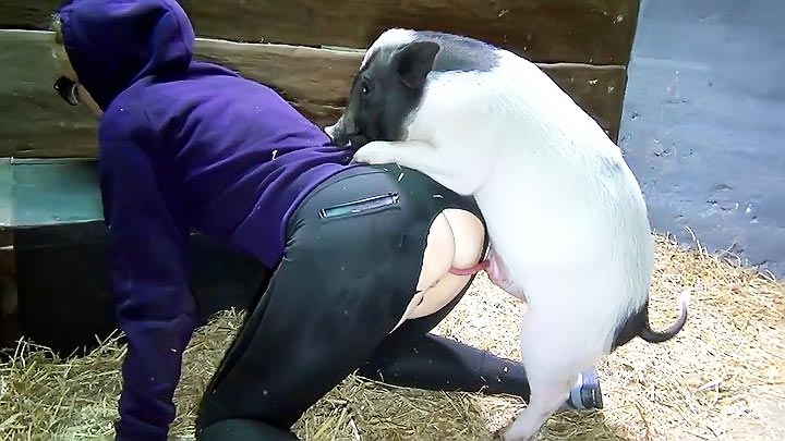 Girl having sex with pig.