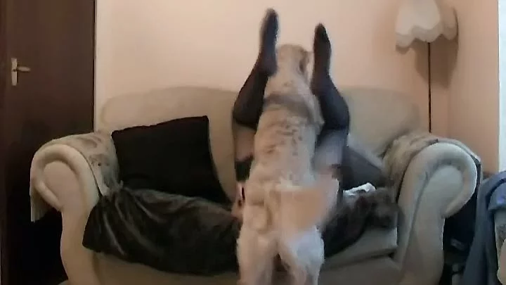 MILF Flirts With XXX Dog Cause She Loves Taking Its Cock In Skillful