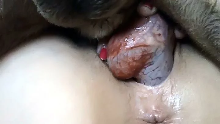 cum xxx Deep