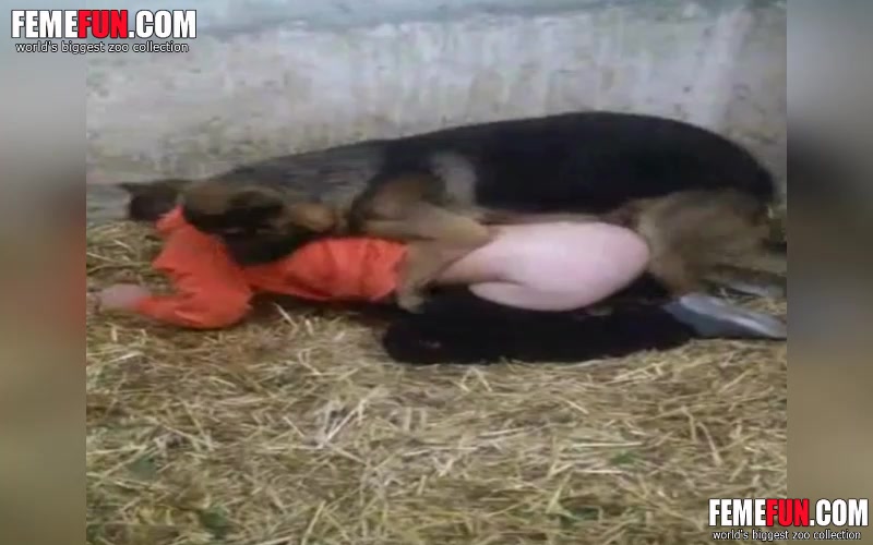 Bitch Dog Man Sex New - Husband forced to have sex with a dog as dog slave bitch - XXX FemeFun