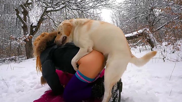 German Horny Wives With Dogs - Dog licks woman's pussy from behind and fucks it in XXX porn video ...