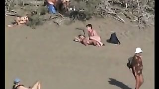 Raunchy nudist beach couples getting lewd watching every others antics