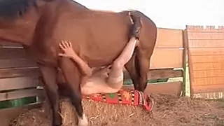 Horse Porn Videos