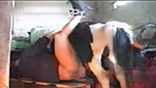 Https Femefun Com Videos 50449 Wife Moans Loudly As She s ...