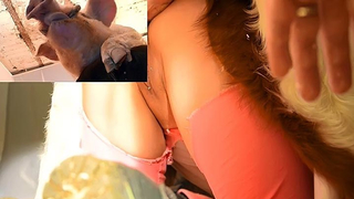 Search Videos For Animal Sex Forbidden Animal Sex In A Barn Watch