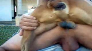 320px x 180px - Dog Rape Girls ] Animal penetration blonde and brunette - XXX FemeFun