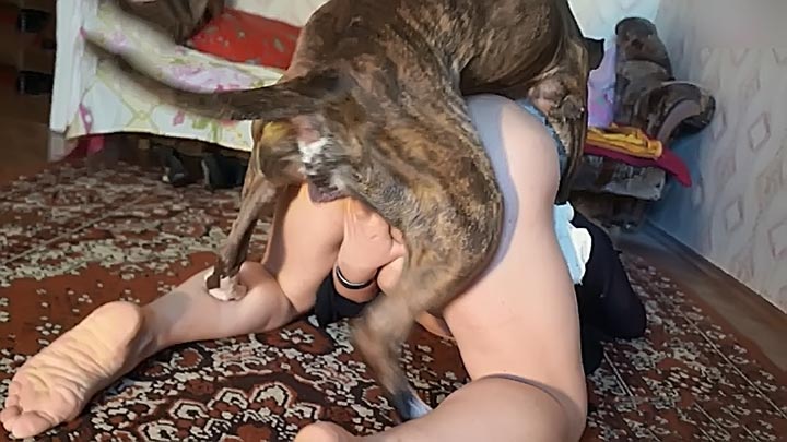 720px x 405px - Beastiality ] Happy older woman treats her dog to a blowjob and sex - XXX  FemeFun