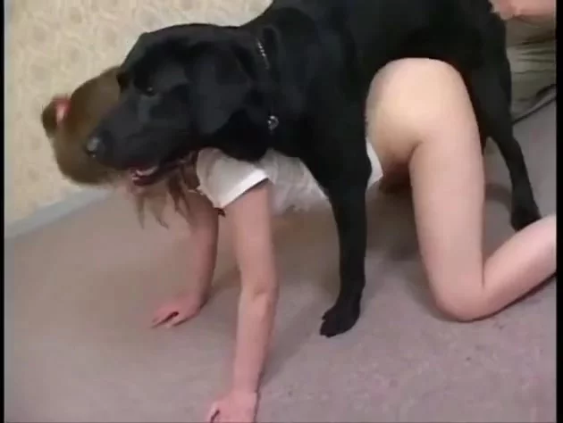 Asian Teenage Newcomer Mounted And Slammed By A Big Black