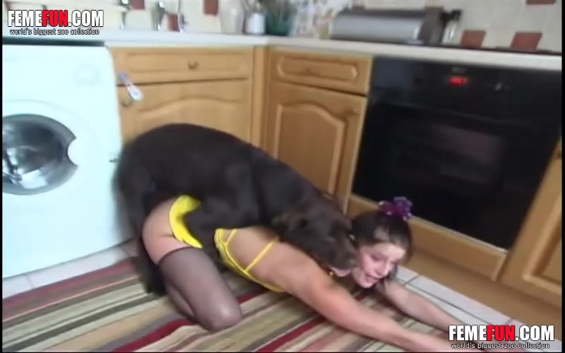 Slender housewife and smart dog arrange awesome XXX fuck in kitchen image